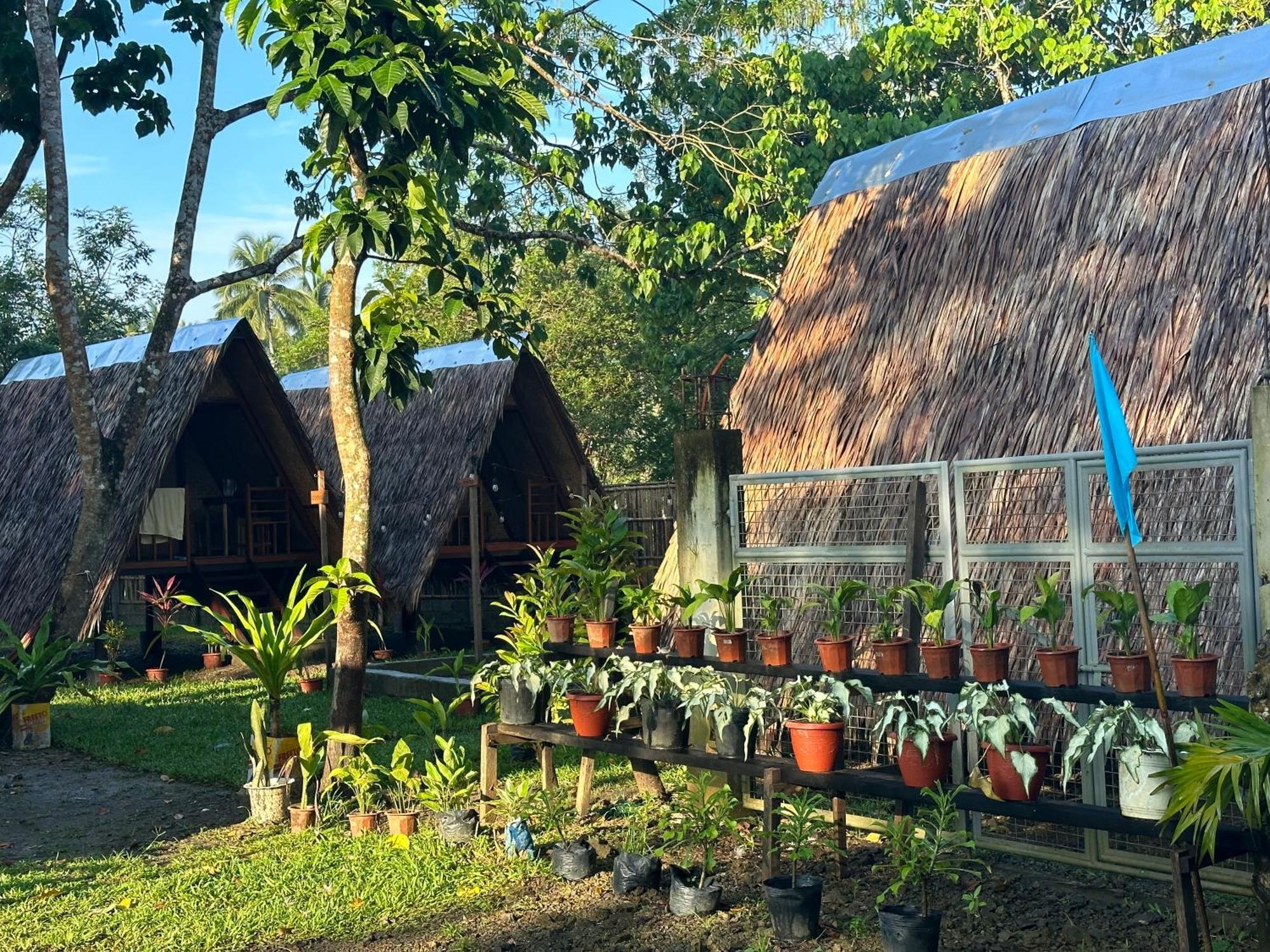 فندق Hiraya Camp Site - Free Use Of Scooter For Nipa Huts إل نيدو المظهر الخارجي الصورة